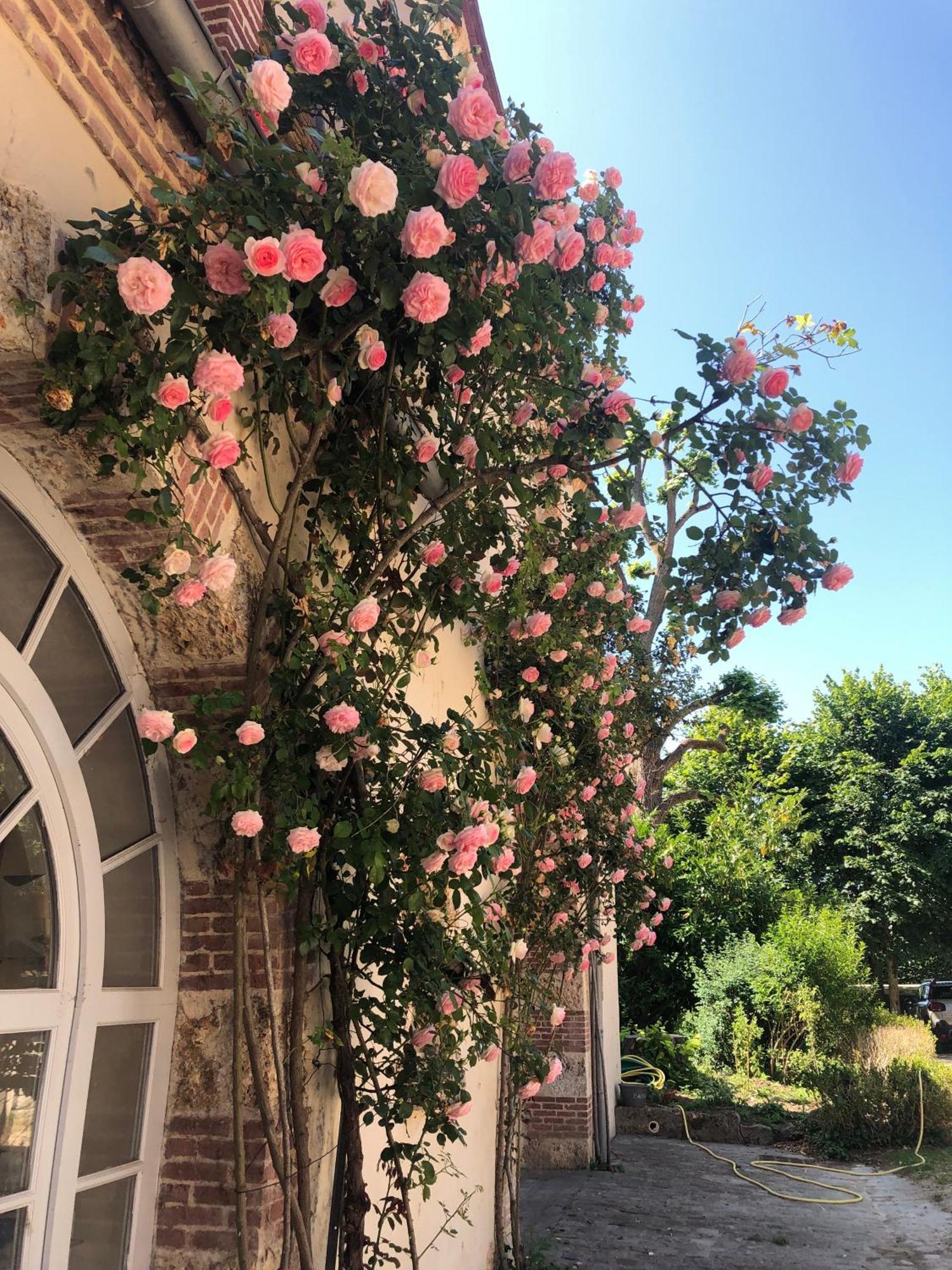 Chateau De La Cour Senlisse المظهر الخارجي الصورة